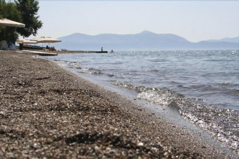 Posidonia Pension Amarynthos Eksteriør billede