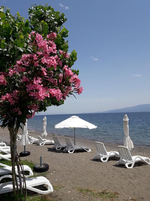Posidonia Pension Amarynthos Eksteriør billede